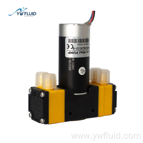 Double Head Diaphragm Pump Brushless Oil-free Water Pump